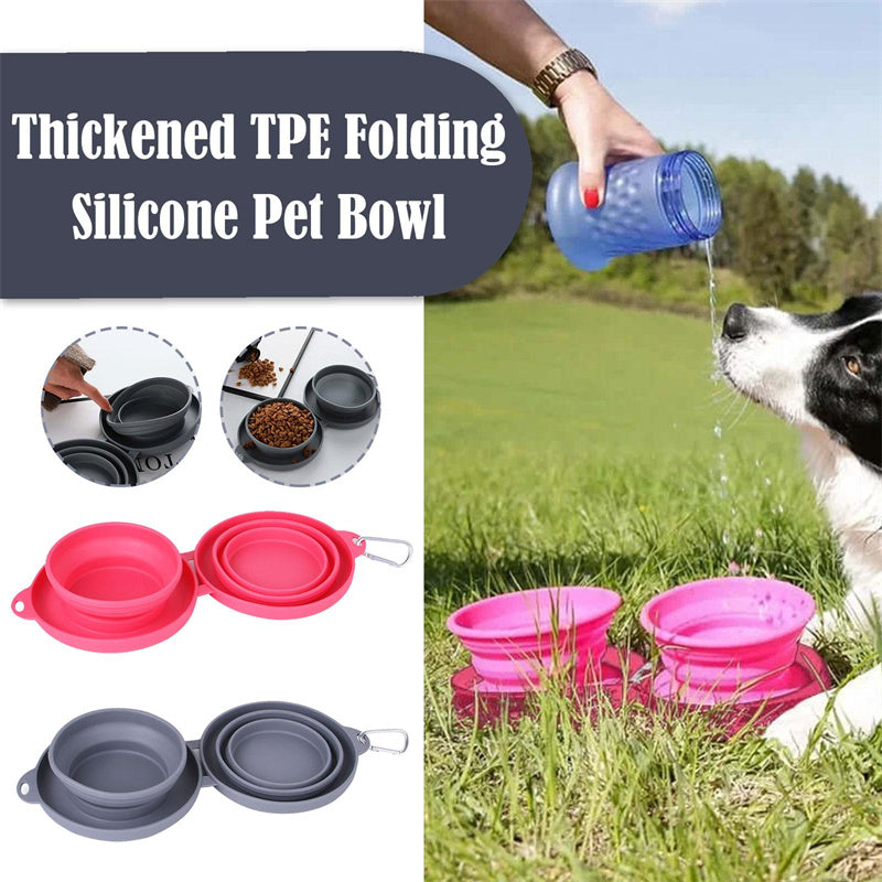 Buy Travel-Friendly Foldable Double Pet Bowl for Dogs & Cats