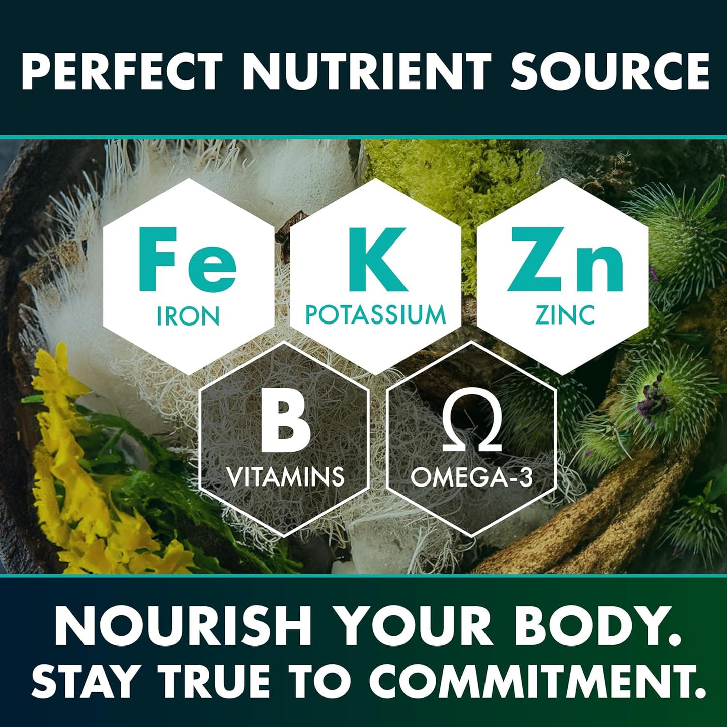 Seaweed Compound Vitamin Capsules for Daily Health Support