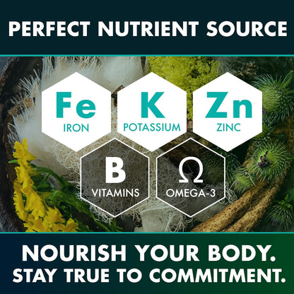 Seaweed Compound Vitamin Capsules for Daily Health Support