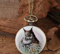 White Background Gray Owl