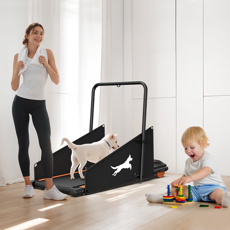 Small & Medium Dog Treadmill – Keep Pets Fit with Run & Walk