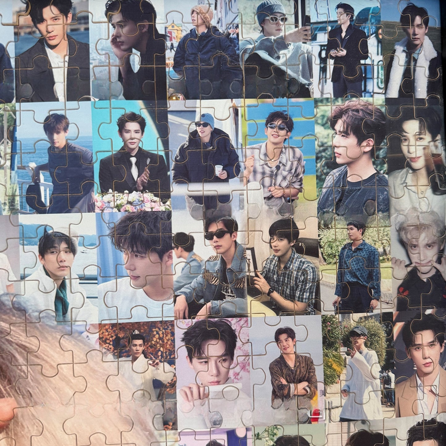 1000-Piece Jigsaw Puzzle
