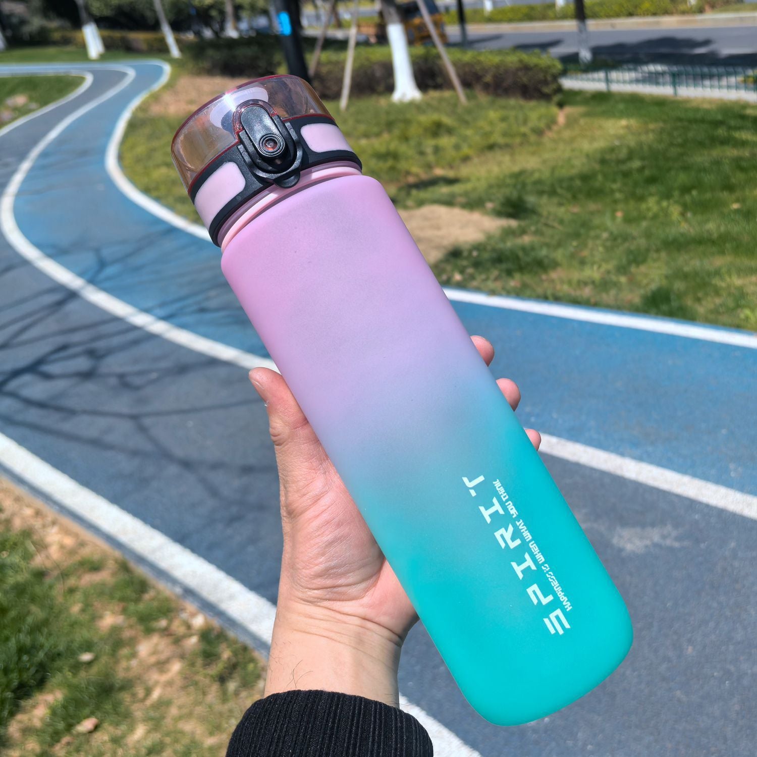 1000ml Gradient-Colored Straw Cup
