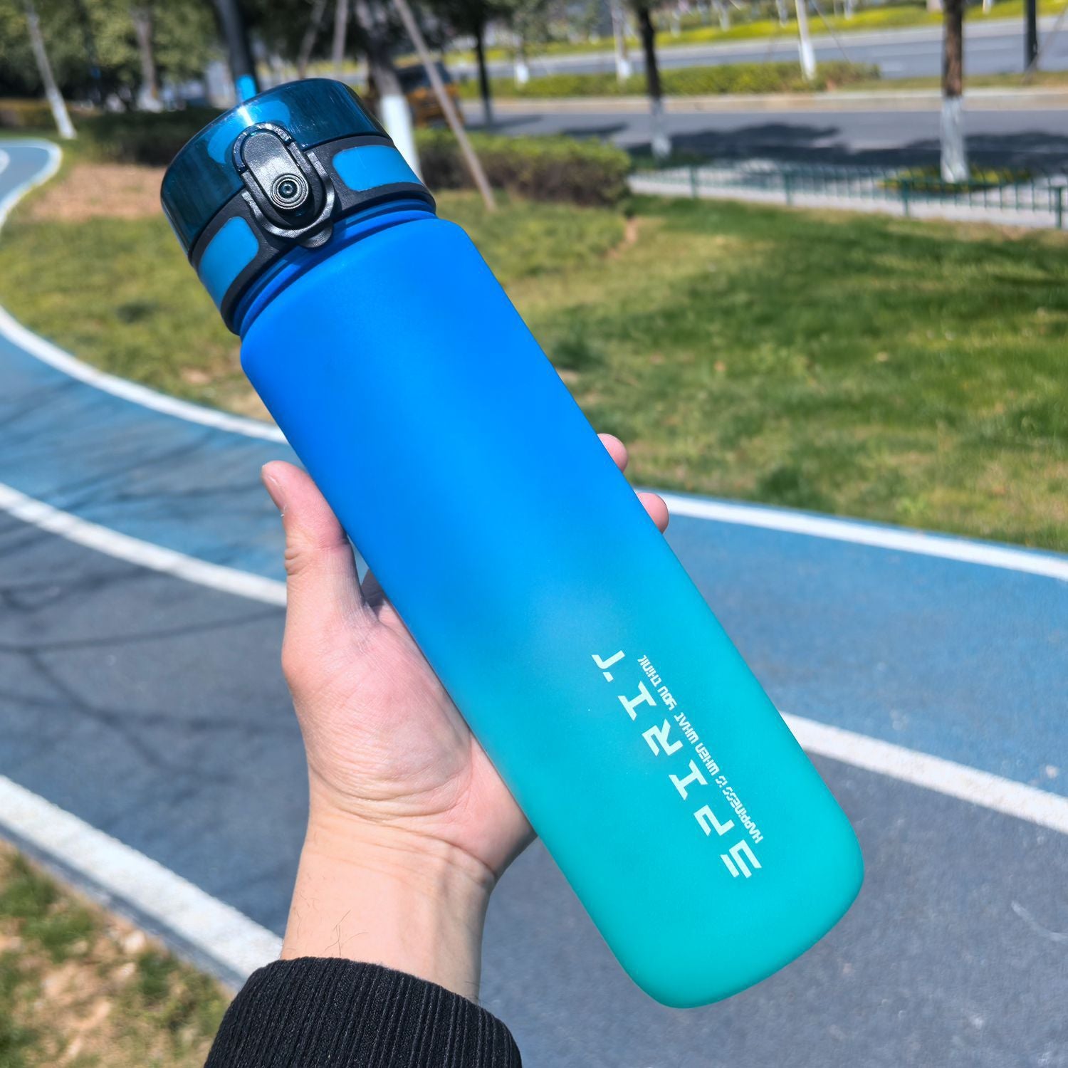 1000ml Gradient-Colored Straw Cup