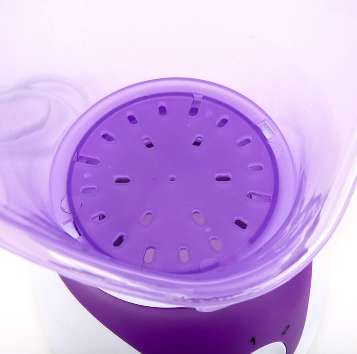 Ion Hot Spray Steamer for Home Facial Steam Beauty Care