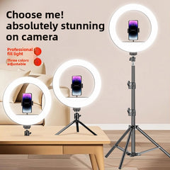 10inch regular style Single Lamp