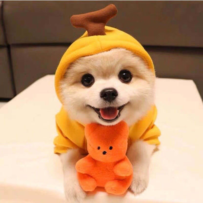 Two-Legged Hooded Dog Clothes Green Fleece Autumn Winter