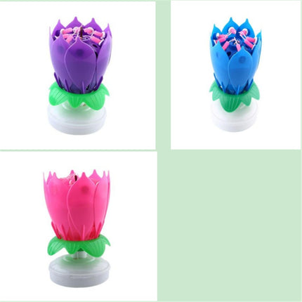 Buy First Musical Lotus Candle Colorful Birthday Cake Decor