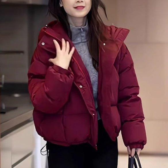Buy Winter Korean-Style Cropped Hooded Cotton Jacket for Women