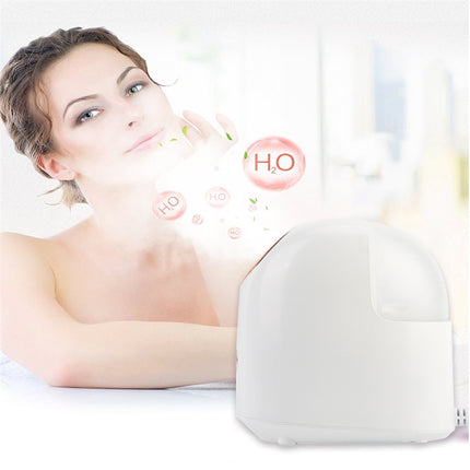 Buy Compact 150ml Humidifier – Efficient Mist for Healthy Air