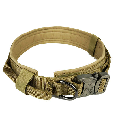 Buy Premium Dog Collar – Adjustable, Stylish & Comfortable Fit
