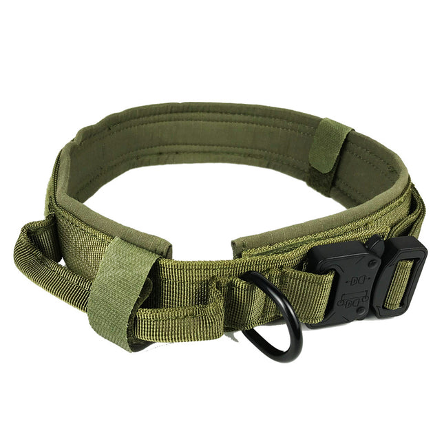 Buy Premium Dog Collar – Adjustable, Stylish & Comfortable Fit