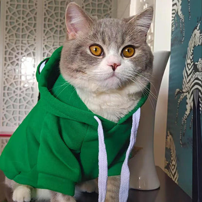 Soft Warm Cat & Dog Clothes – Funny Halloween Frog Sweatshirt