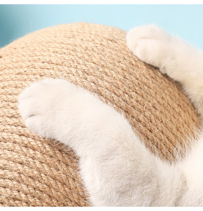 Buy Premium Vertical Sisal Cat Toy With Hanging Catch Ball