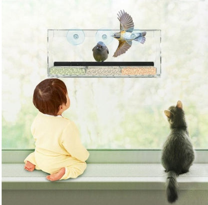Buy New Acrylic Bird Feeder for Garden Window and Outdoor Use