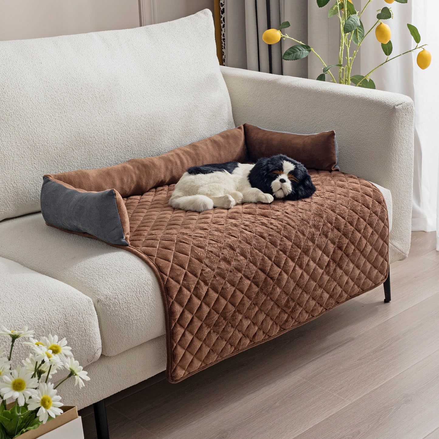 Buy Premium Washable Pet Mats With Non-Slip Waterproof Base