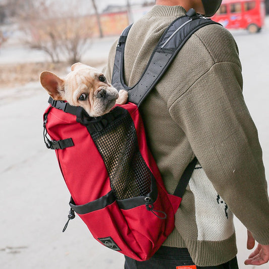 Buy Dog Carrier Backpack With Breathable Mesh and Safety Strap
