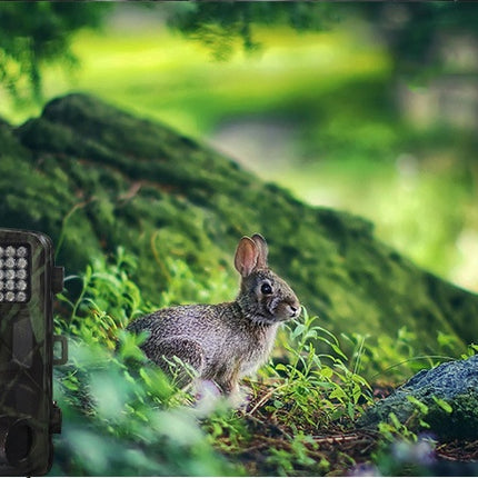 Buy Wild Hunting Camera with Motion Detection & Night Vision