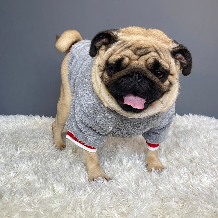 Buy Pet Sweater for Dogs & Cats – Warm Winter Clothes Online