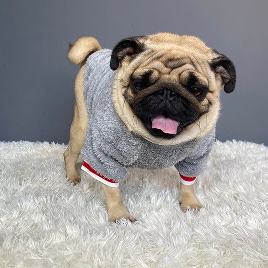 Buy Pet Sweater for Dogs & Cats – Warm Winter Clothes Online
