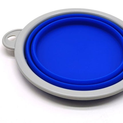 Buy Multifunctional Automatic Retractable Pet Leash Portable