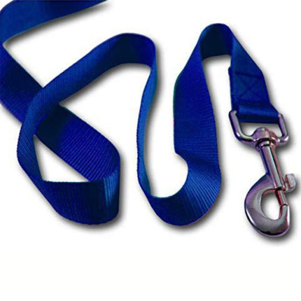 Buy Multifunctional Automatic Retractable Pet Leash Portable