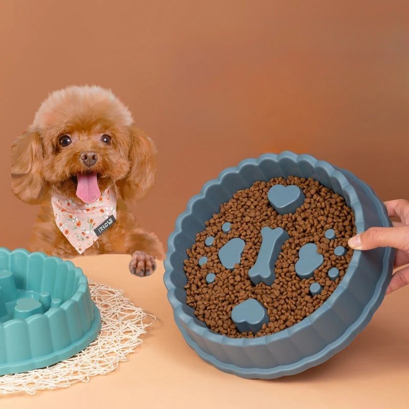 Anti-Choking Slow Feeder Dogs & Cat Bowl – Healthy Eating Dish