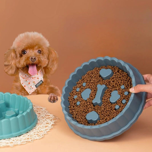Anti-Choking Slow Feeder Dogs & Cat Bowl – Healthy Eating Dish