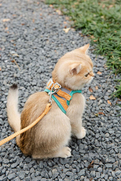Cat Traction Rope Harness Vest-Style Anti-Stroke Resistance