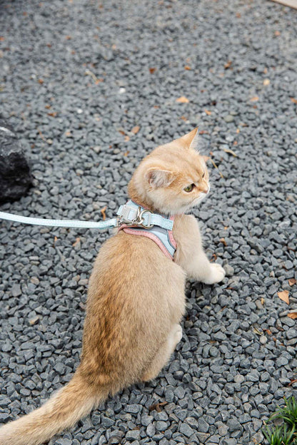 Cat Traction Rope Harness Vest-Style Anti-Stroke Resistance