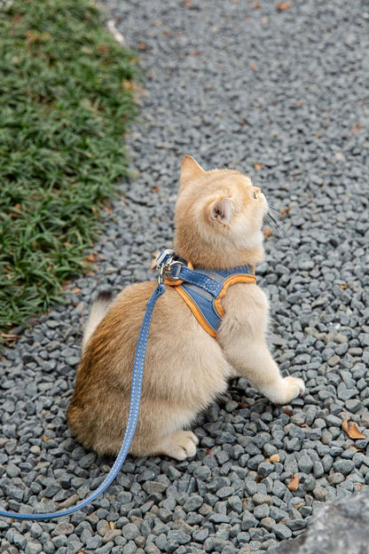 Cat Traction Rope Harness Vest-Style Anti-Stroke Resistance