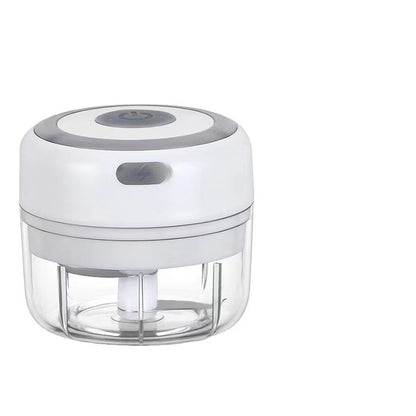 USB Mini Electric Garlic Chopper & Ginger Masher Machine