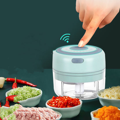 USB Mini Electric Garlic Chopper & Ginger Masher Machine
