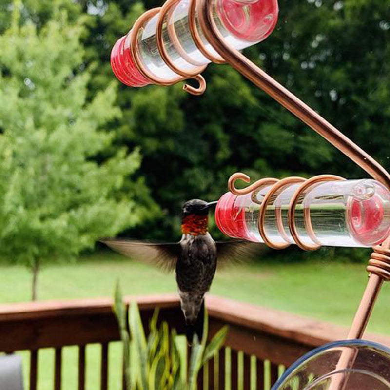 Buy Hummingbird Feeder Suction Cup Easy Clean Garden Bird Decor