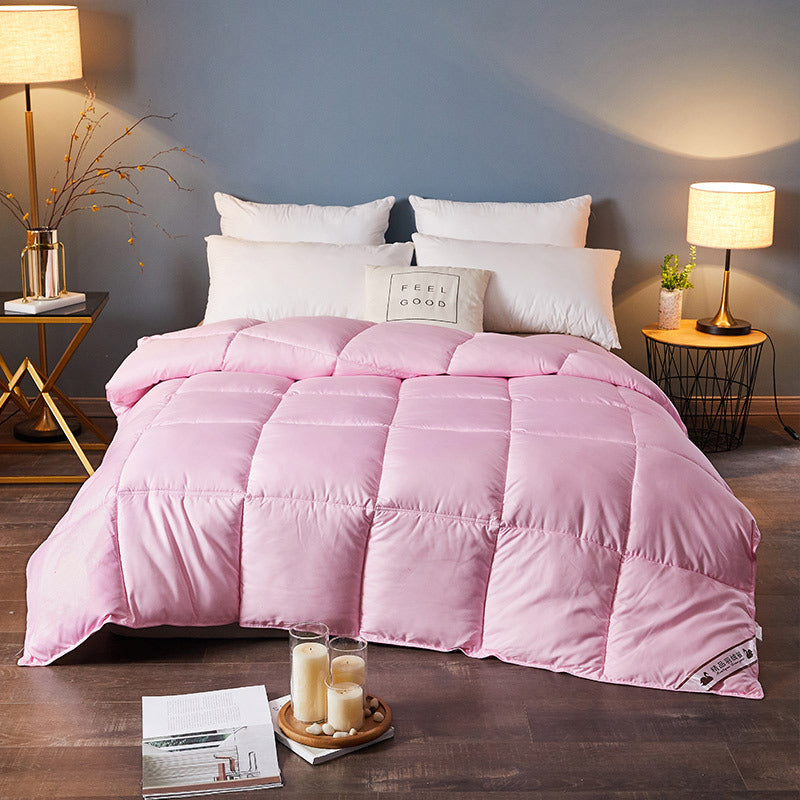 Winter Goose Down Duvet Soft and Warm for Bedroom Comfort