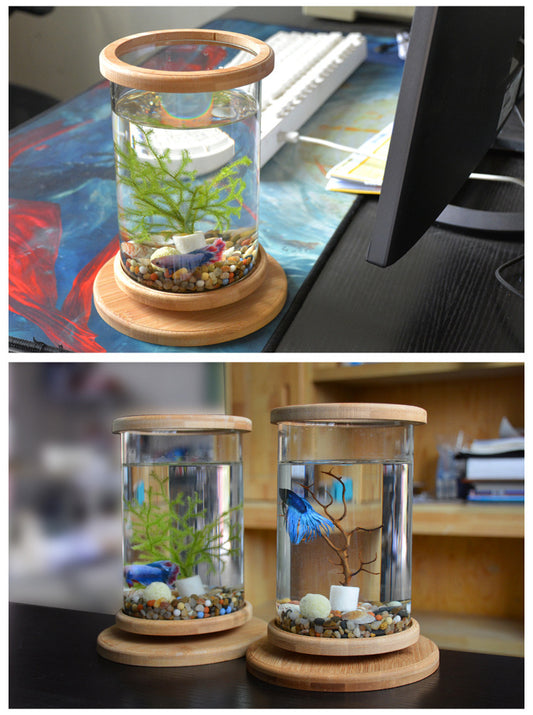 Buy Small Office Glass Aquarium with Bamboo Base Mini Fish Tank