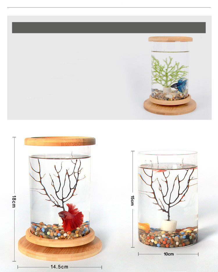 Buy Small Office Glass Aquarium with Bamboo Base Mini Fish Tank
