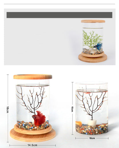 Buy Small Office Glass Aquarium with Bamboo Base Mini Fish Tank