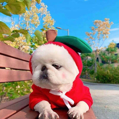Buy Cute Fruit Dog Clothes for Small Dogs | Warm Fleece Hoodie