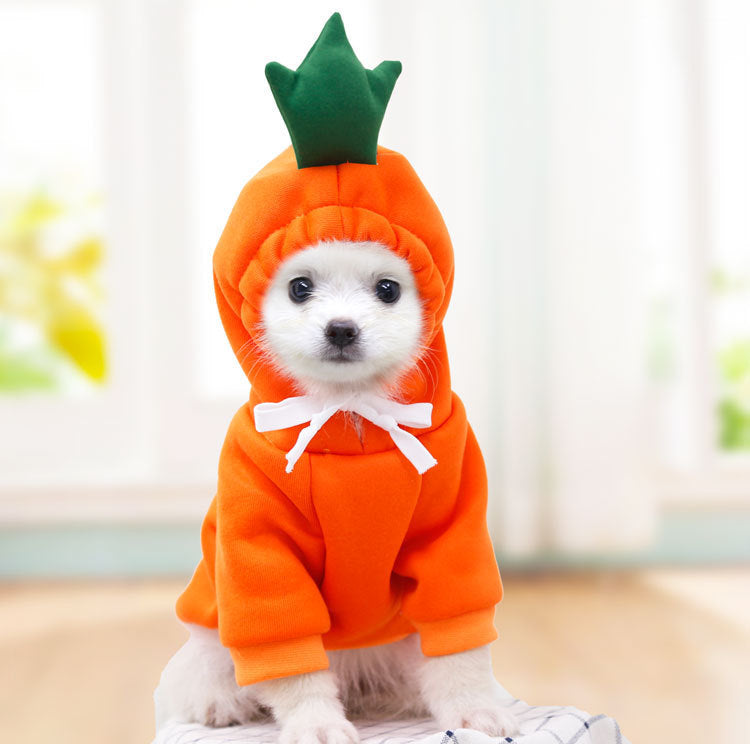 Buy Cute Fruit Dog Clothes for Small Dogs | Warm Fleece Hoodie