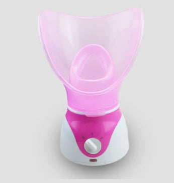 Ion Hot Spray Steamer for Home Facial Steam Beauty Care