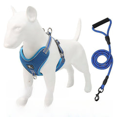 Blue Harness + 1x150cm Leash
