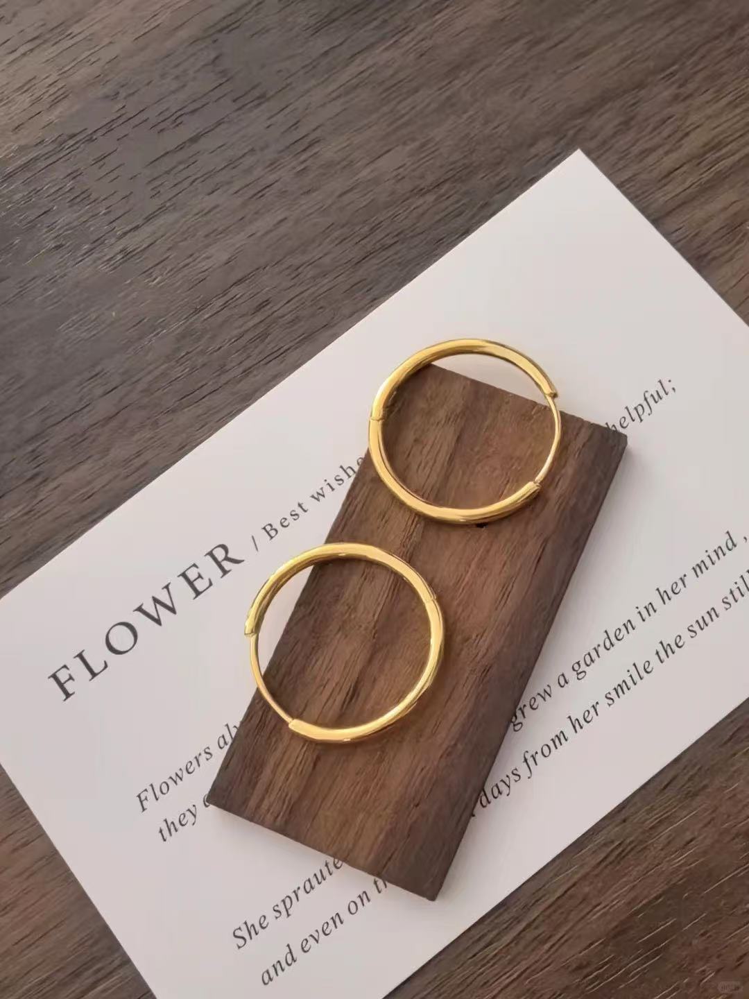 18K Gold Universal Earrings