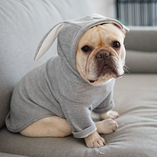 Dog Pet Clothes – Stylish Spring and Autumn Clothing for Dogs