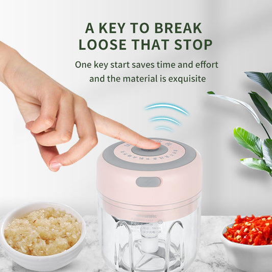 USB Mini Electric Garlic Chopper & Ginger Masher Machine