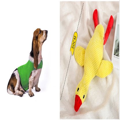 Buy Anxiety Jacket Vest for Dogs & Cats | Calming Comfort Wear