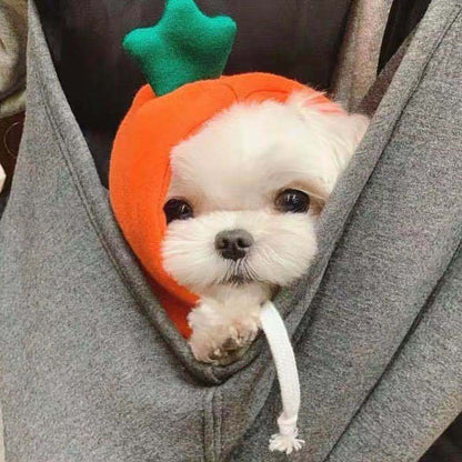 Two-Legged Hooded Dog Clothes Green Fleece Autumn Winter