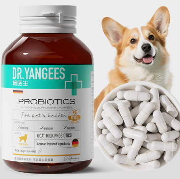 Senior Pet Health Supplements for Stronger Bones and Joints