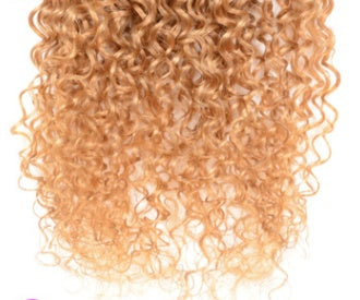 Real Human Hair Extensions Gradient Human Hair Wig for Style