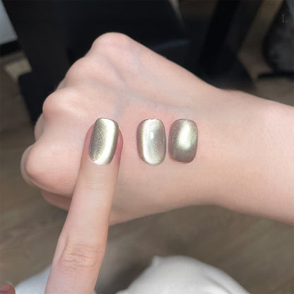 22 Color Cat Eye Nail Gel Set